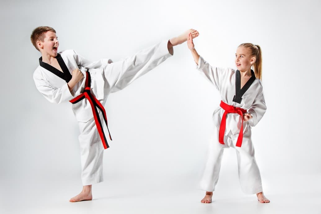 Cours de arts martiaux à Danse Evasion